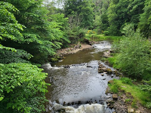 Roslin Glen Country Park