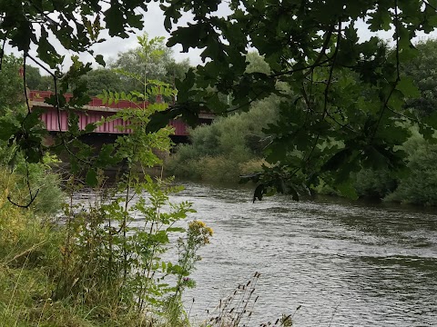 River Avon Hamilton to Chatelherault