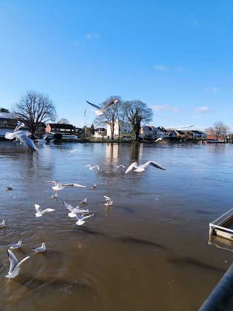 Spelthorne Museum