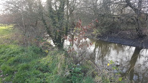 Waye Avenue Open Space