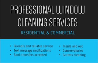 Sev Window Cleaner - Spotless Window Cleaning