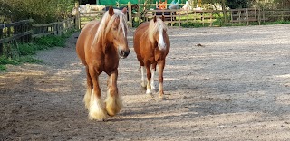 Aldersbrook Riding School