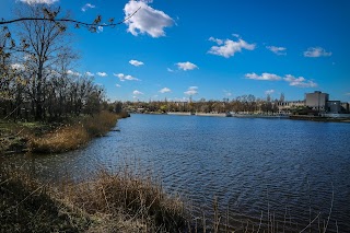 Горбатий міст