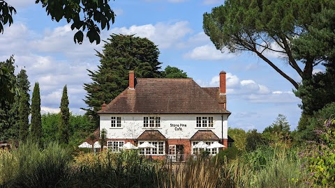 Stone Pine Cafe - Taste of Wisley