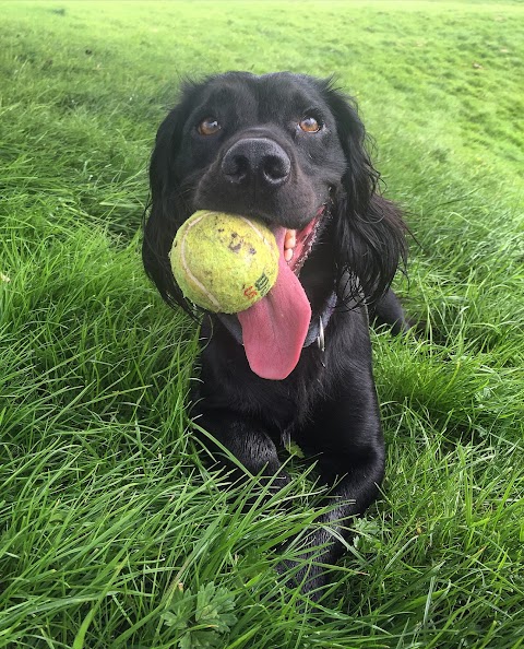 Muddy Walks Glasgow