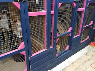 Jemley Boarding Cattery