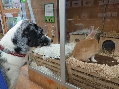 Pets at Home Epsom