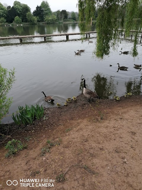 Langold Lake