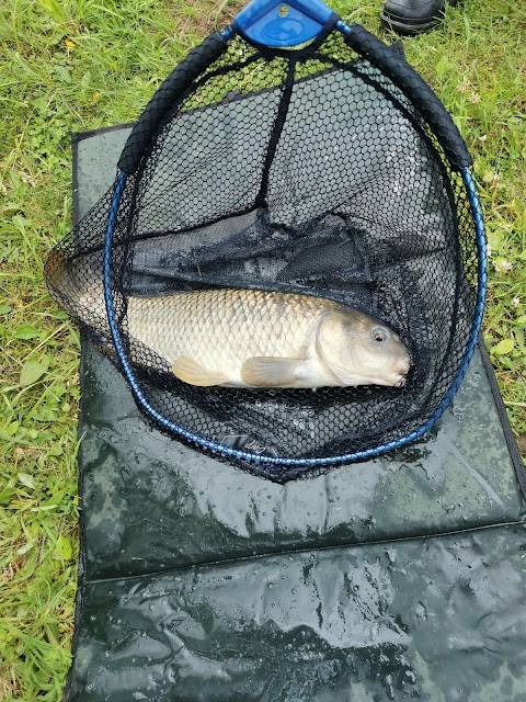 Rectory Farm Campsite and fishery