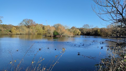 Southampton Common