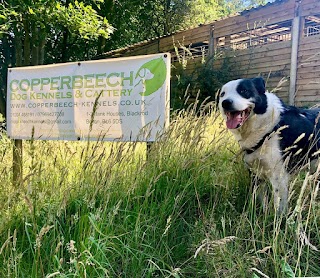 Copperbeech Boarding Kennels