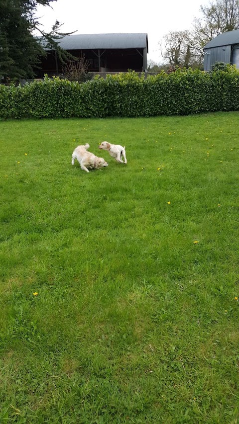 Vesington Boarding Kennels