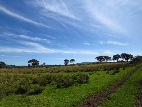 Linhouse Glen