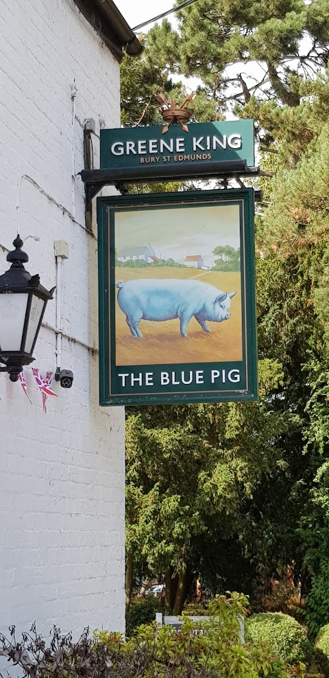 The Blue Pig