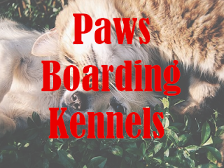 Paws Boarding Kennels