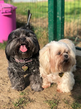 Rushmere Boarding Kennel and Cattery