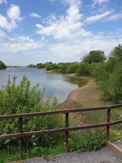 Jacksons Brickworks Local Nature Reserve