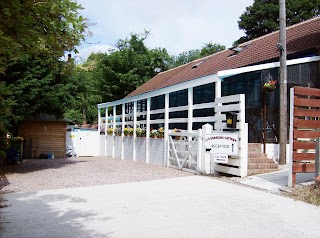 JJ's Boarding Cattery