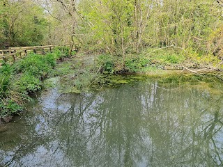 Efford Marsh Local Nature Reserve