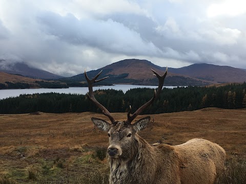 Escocia Tours