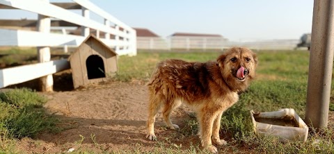 Искусственный водоем