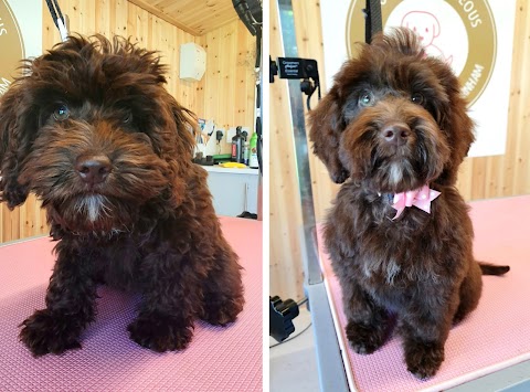 Mutterly Gorgeous - Dog grooming of Farnham