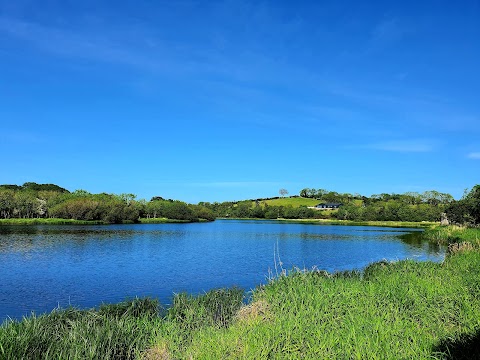 Quoile Castle