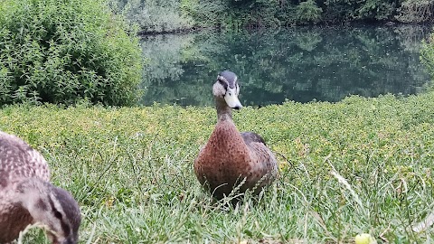 Wildlife Preservation Nature Reserve