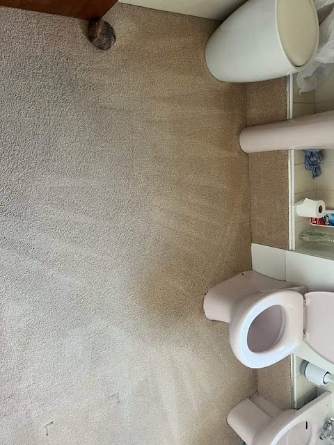 Property Clean Carpet Cleaning Services