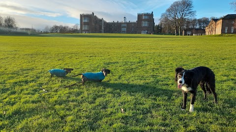 Happy Paws Leeds Dog Walks