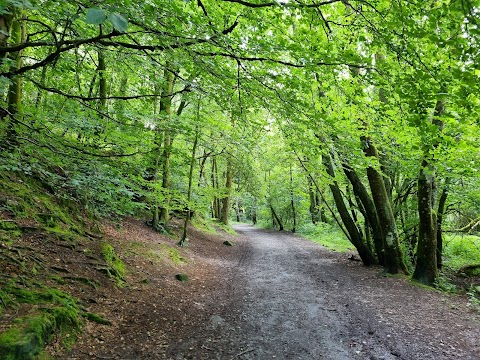 Mugdock Country Park