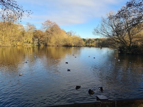 Allestree Park