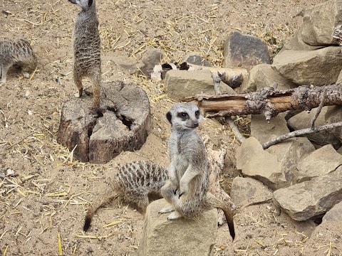 Shepreth Wildlife Park