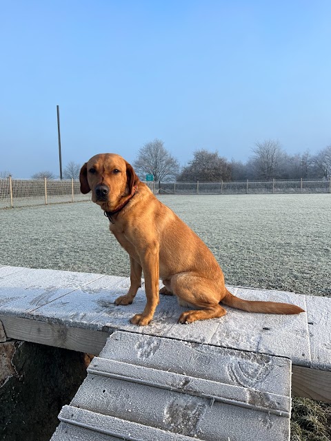 Percy's Park Dog Field