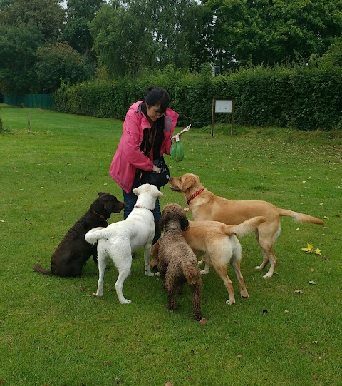 The Dog Walker Aldershot