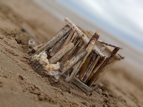 Formby Beach (Fishermans Path)