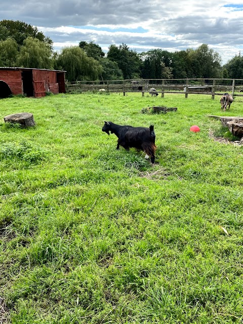 Brockswood Animal Sanctuary