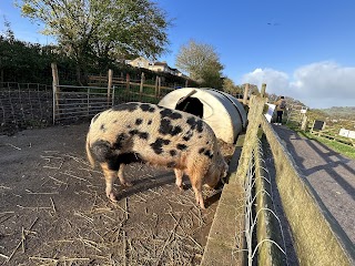 Bath City Farm