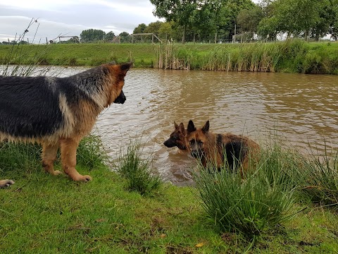 Unleashed Dog Adventure Park