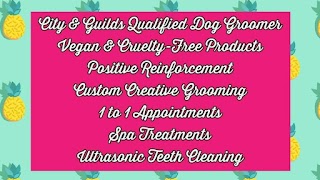 Fifi's Holistic Dog Grooming