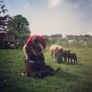 St Werburghs City Farm