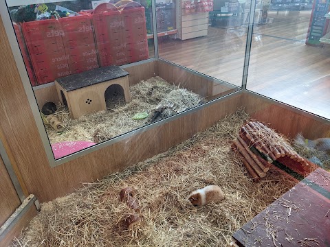 Pets at Home Lowestoft