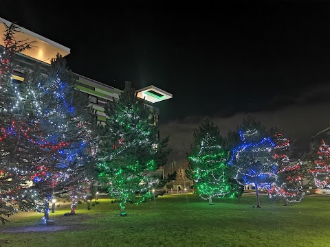 Royal Manchester Children's Hospital Garden