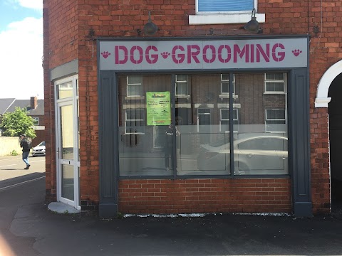 Jade's Dog Groomers