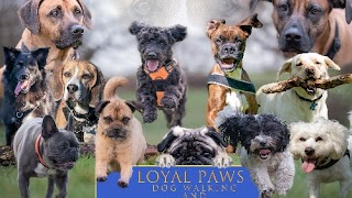 Loyal Paws Pet Service