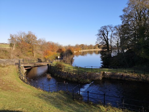 Dams to Darnley Country Park