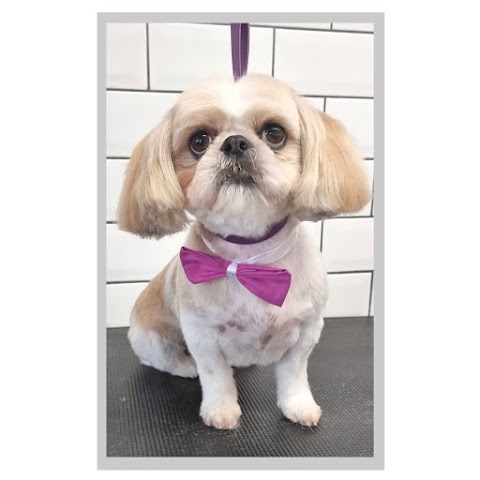 Woof & Ready Dog Grooming and Pet Services Ltd