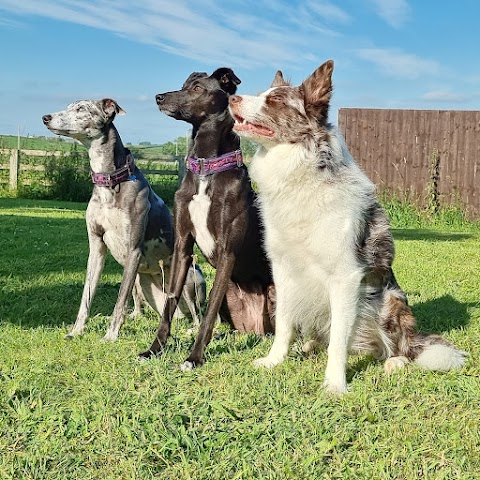 Sandbeck Veterinary Centre