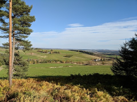 Whitehill Stone Circle