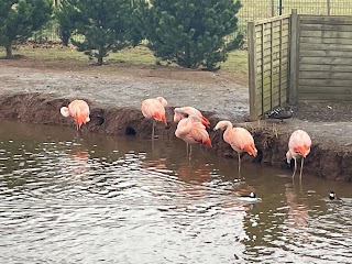 Bird Gardens Scotland CIC